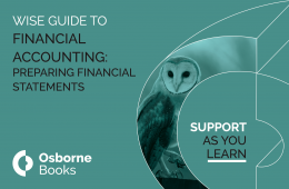 Financial Accounting: Preparing Financial Statements Wise Guide